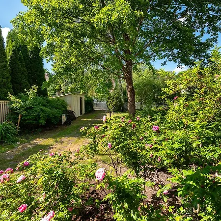 Park By Rikas 탈린